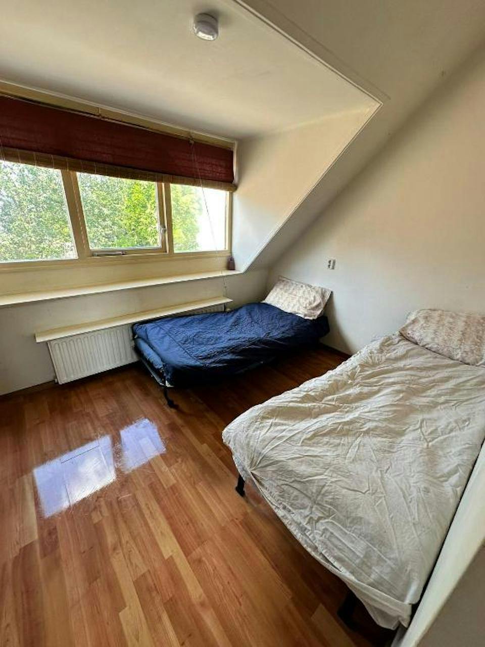 Kamer in Utrecht