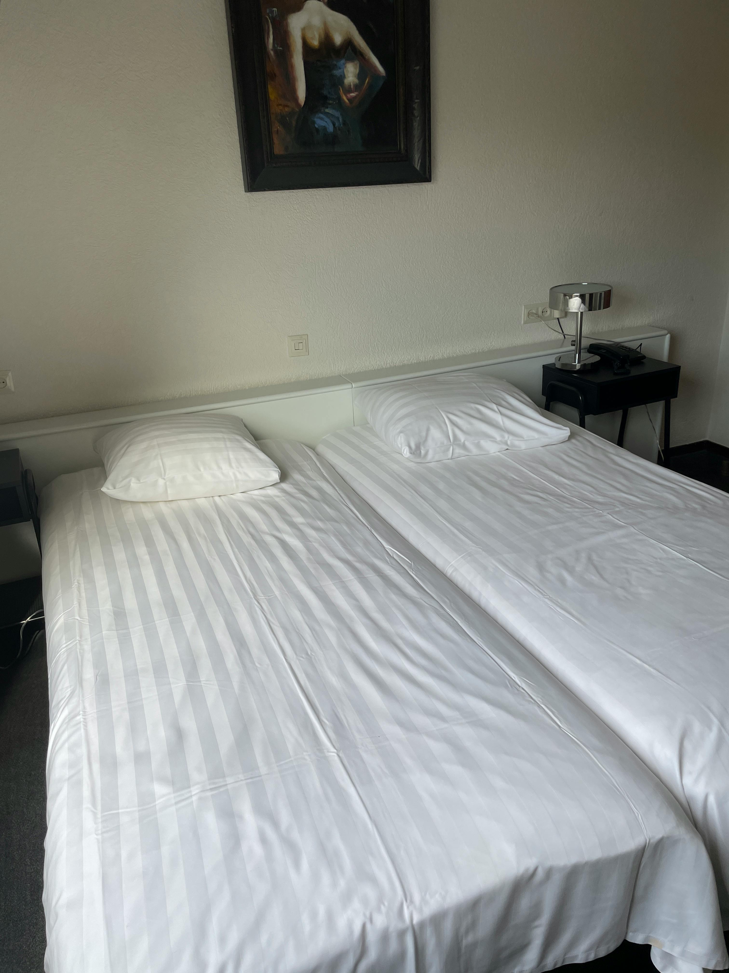 Kamer in 's-Gravenhage